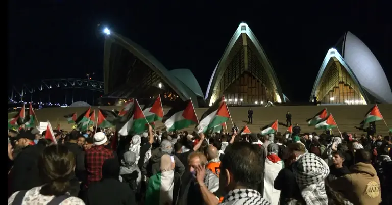 ফিলিস্তিনের পতাকা হাতে সমাবেশ